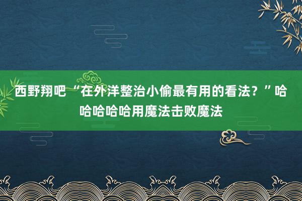 西野翔吧 “在外洋整治小偷最有用的看法？”哈哈哈哈哈用魔法击败魔法