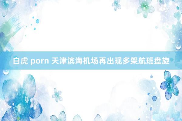 白虎 porn 天津滨海机场再出现多架航班盘旋