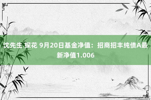 沈先生 探花 9月20日基金净值：招商招丰纯债A最新净值1.006