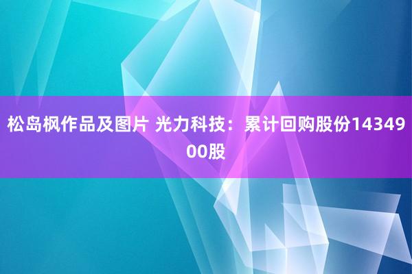 松岛枫作品及图片 光力科技：累计回购股份1434900股