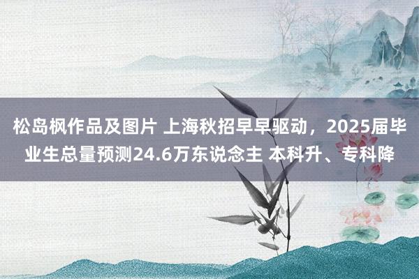 松岛枫作品及图片 上海秋招早早驱动，2025届毕业生总量预测24.6万东说念主 本科升、专科降