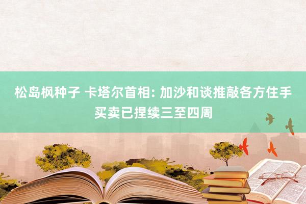 松岛枫种子 卡塔尔首相: 加沙和谈推敲各方住手买卖已捏续三至四周