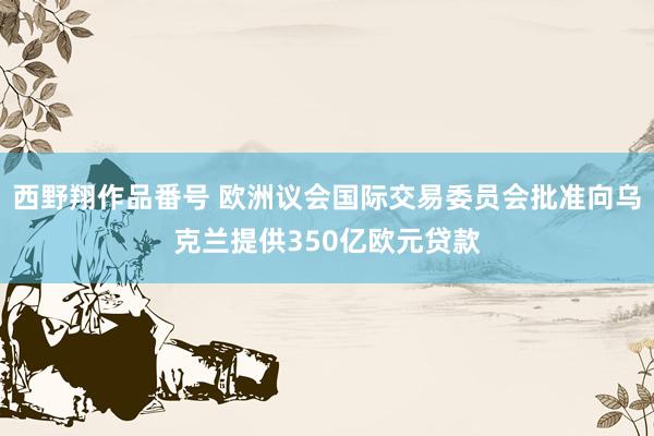 西野翔作品番号 欧洲议会国际交易委员会批准向乌克兰提供350亿欧元贷款