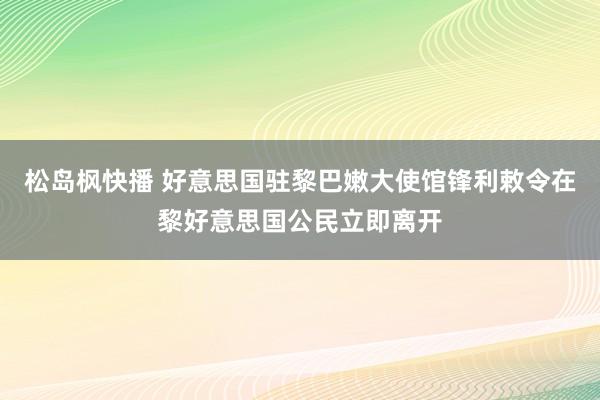 松岛枫快播 好意思国驻黎巴嫩大使馆锋利敕令在黎好意思国公民立即离开