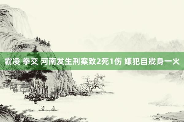 霸凌 拳交 河南发生刑案致2死1伤 嫌犯自戕身一火