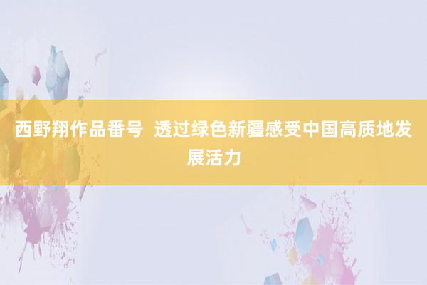 西野翔作品番号  透过绿色新疆感受中国高质地发展活力