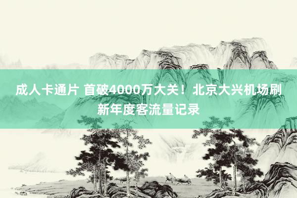 成人卡通片 首破4000万大关！北京大兴机场刷新年度客流量记录