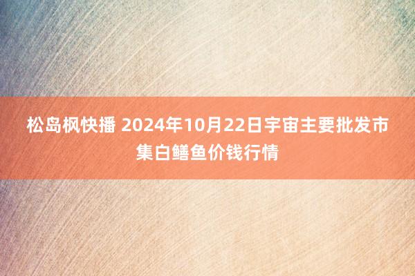 松岛枫快播 2024年10月22日宇宙主要批发市集白鳝鱼价钱行情