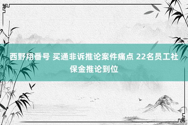 西野翔番号 买通非诉推论案件痛点 22名员工社保金推论到位