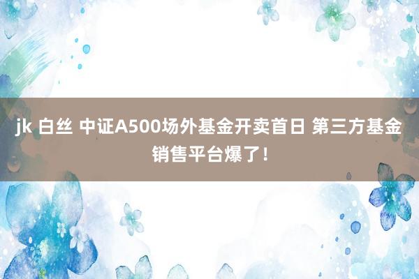 jk 白丝 中证A500场外基金开卖首日 第三方基金销售平台爆了！