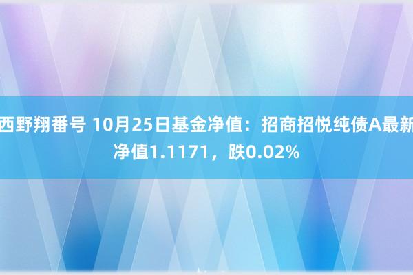 西野翔番号 10月25日基金净值：招商招悦纯债A最新净值1.1171，跌0.02%