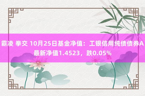 霸凌 拳交 10月25日基金净值：工银信用纯债债券A最新净值1.4523，跌0.05%