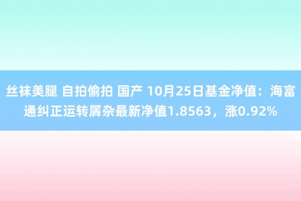 丝袜美腿 自拍偷拍 国产 10月25日基金净值：海富通纠正运转羼杂最新净值1.8563，涨0.92%