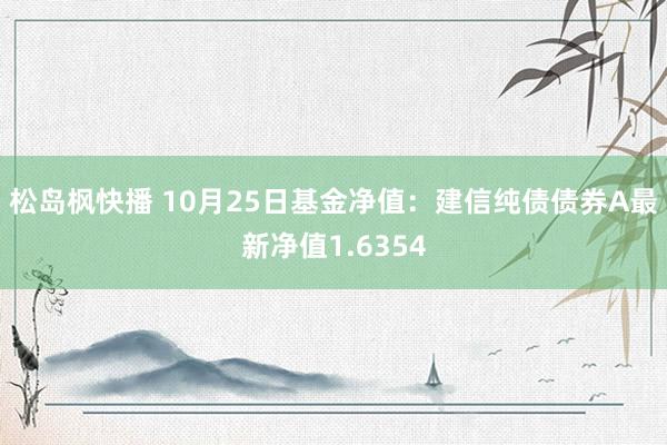 松岛枫快播 10月25日基金净值：建信纯债债券A最新净值1.6354