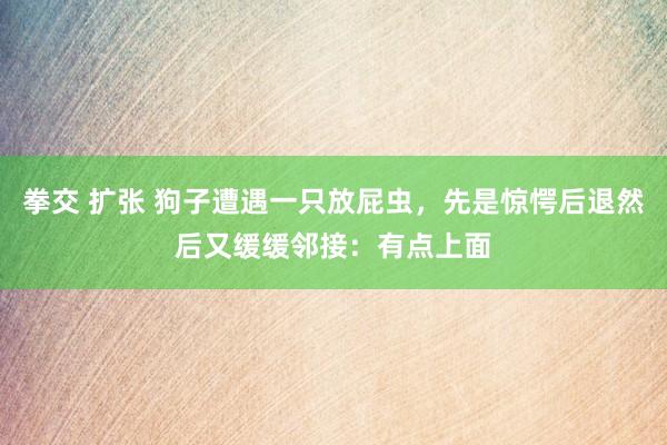 拳交 扩张 狗子遭遇一只放屁虫，先是惊愕后退然后又缓缓邻接：有点上面