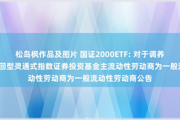 松岛枫作品及图片 国证2000ETF: 对于调养万家国证2000来回型灵通式指数证券投资基金主流动性劳动商为一般流动性劳动商公告