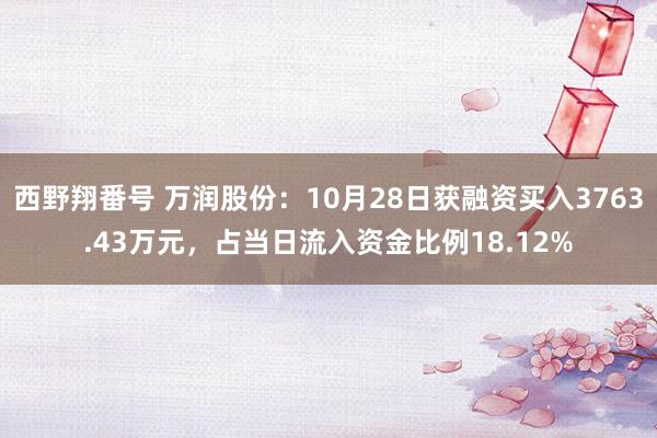 西野翔番号 万润股份：10月28日获融资买入3763.43万元，占当日流入资金比例18.12%