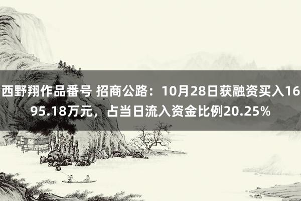 西野翔作品番号 招商公路：10月28日获融资买入1695.18万元，占当日流入资金比例20.25%