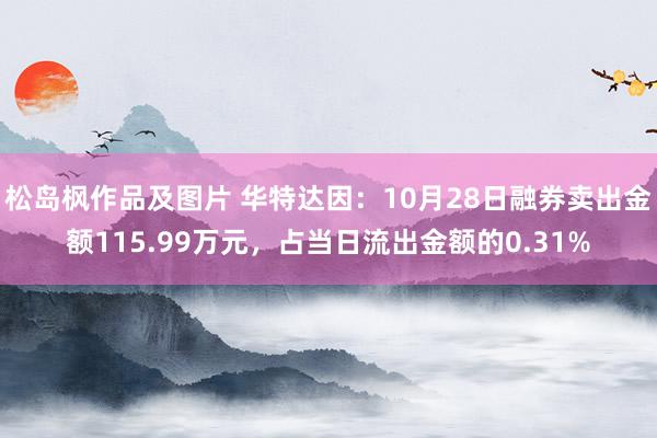 松岛枫作品及图片 华特达因：10月28日融券卖出金额115.99万元，占当日流出金额的0.31%