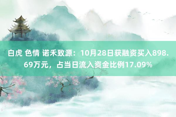 白虎 色情 诺禾致源：10月28日获融资买入898.69万元，占当日流入资金比例17.09%