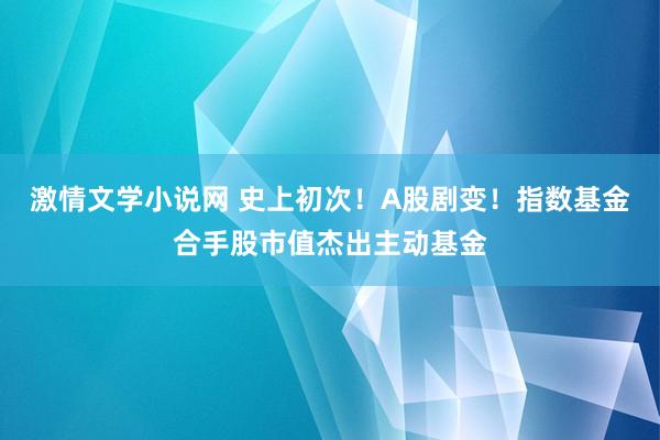 激情文学小说网 史上初次！A股剧变！指数基金合手股市值杰出主动基金