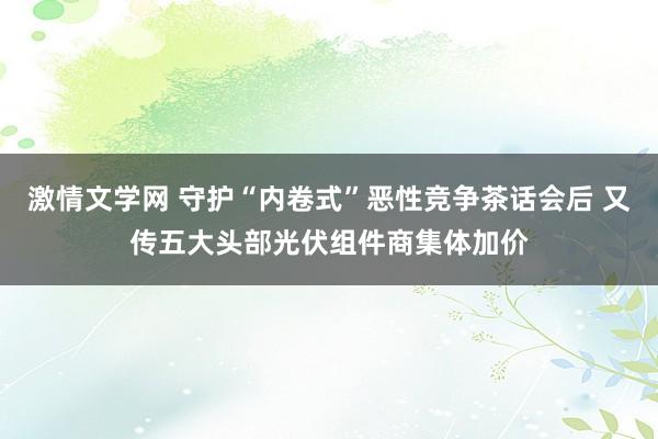 激情文学网 守护“内卷式”恶性竞争茶话会后 又传五大头部光伏组件商集体加价