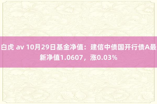 白虎 av 10月29日基金净值：建信中债国开行债A最新净值1.0607，涨0.03%