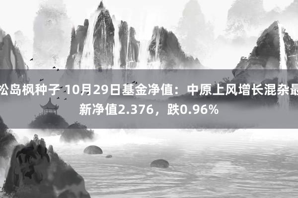 松岛枫种子 10月29日基金净值：中原上风增长混杂最新净值2.376，跌0.96%