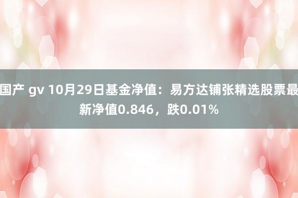 国产 gv 10月29日基金净值：易方达铺张精选股票最新净值0.846，跌0.01%