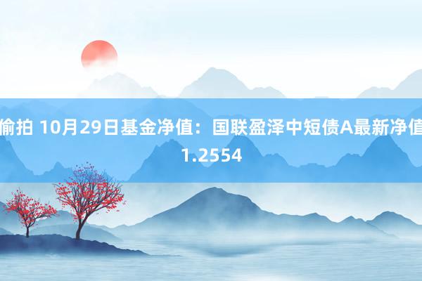 偷拍 10月29日基金净值：国联盈泽中短债A最新净值1.2554