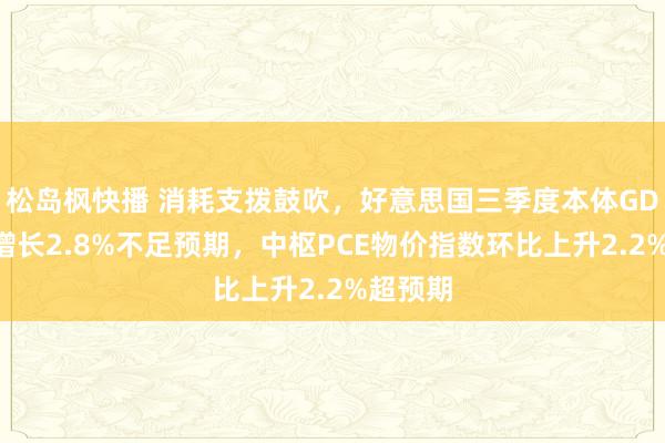 松岛枫快播 消耗支拨鼓吹，好意思国三季度本体GDP环比增长2.8%不足预期，中枢PCE物价指数环比上升2.2%超预期