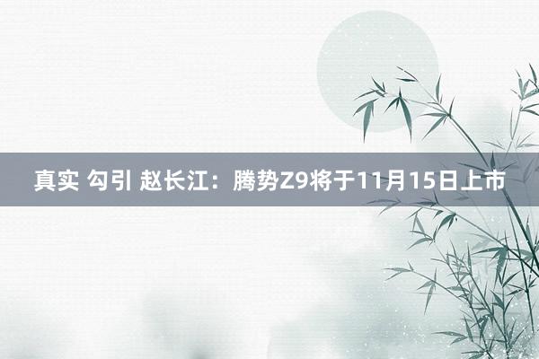 真实 勾引 赵长江：腾势Z9将于11月15日上市