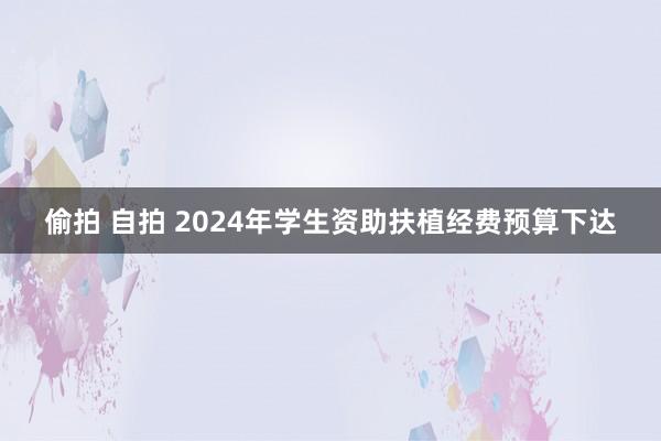 偷拍 自拍 2024年学生资助扶植经费预算下达