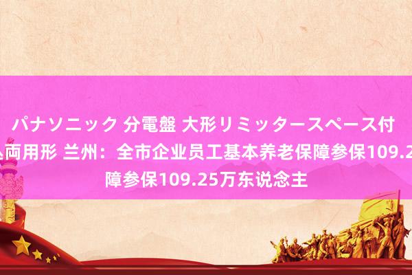 パナソニック 分電盤 大形リミッタースペース付 露出・半埋込両用形 兰州：全市企业员工基本养老保障参保109.25万东说念主