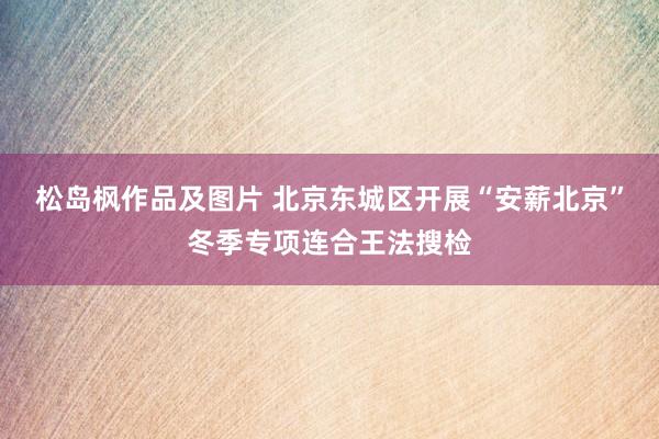 松岛枫作品及图片 北京东城区开展“安薪北京”冬季专项连合王法搜检