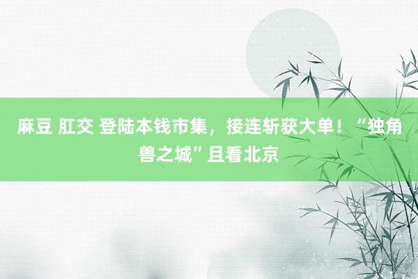 麻豆 肛交 登陆本钱市集，接连斩获大单！“独角兽之城”且看北京