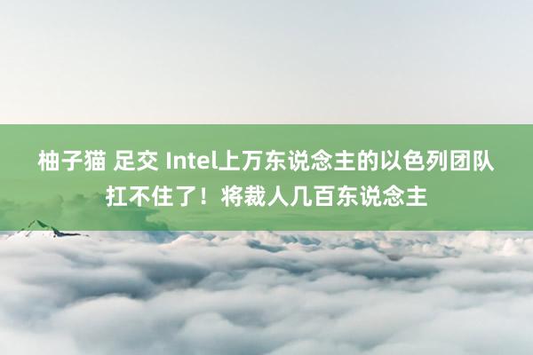 柚子猫 足交 Intel上万东说念主的以色列团队扛不住了！将裁人几百东说念主