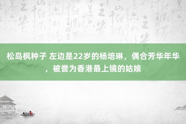 松岛枫种子 左边是22岁的杨培琳，偶合芳华年华，被誉为香港最上镜的姑娘