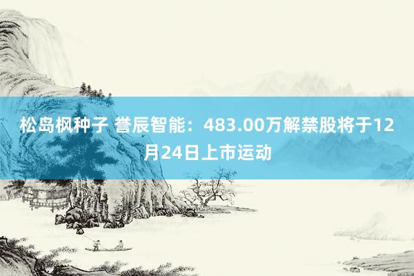 松岛枫种子 誉辰智能：483.00万解禁股将于12月24日上市运动