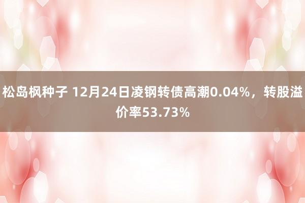 松岛枫种子 12月24日凌钢转债高潮0.04%，转股溢价率53.73%