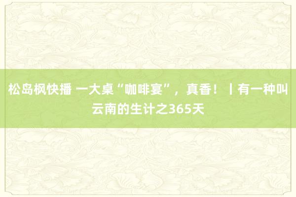 松岛枫快播 一大桌“咖啡宴”，真香！丨有一种叫云南的生计之365天