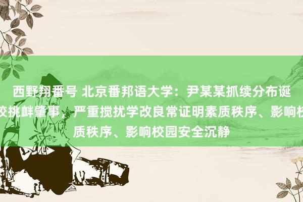 西野翔番号 北京番邦语大学：尹某某抓续分布诞妄信息、到校挑衅肇事，严重搅扰学改良常证明素质秩序、影响校园安全沉静