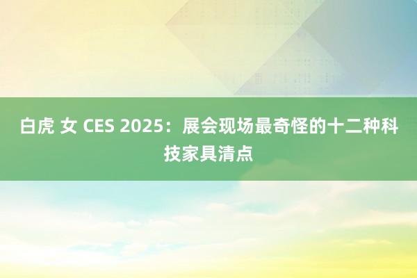 白虎 女 CES 2025：展会现场最奇怪的十二种科技家具清点