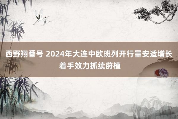 西野翔番号 2024年大连中欧班列开行量安适增长 着手效力抓续莳植