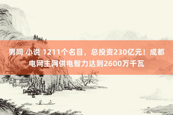 男同 小说 1211个名目，总投资230亿元！成都电网主网供电智力达到2600万千瓦