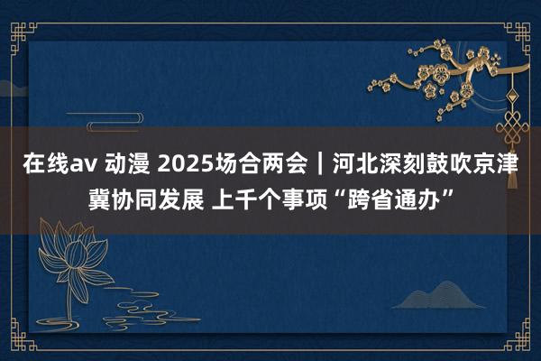 在线av 动漫 2025场合两会｜河北深刻鼓吹京津冀协同发展 上千个事项“跨省通办”