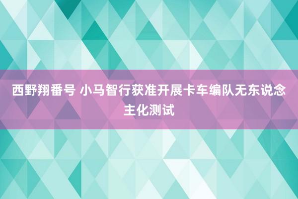 西野翔番号 小马智行获准开展卡车编队无东说念主化测试