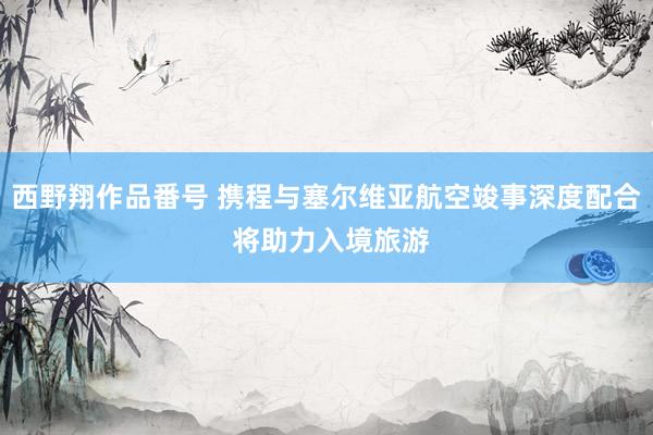 西野翔作品番号 携程与塞尔维亚航空竣事深度配合 将助力入境旅游