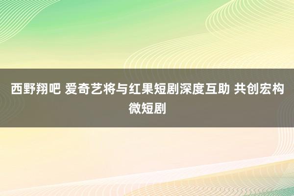 西野翔吧 爱奇艺将与红果短剧深度互助 共创宏构微短剧