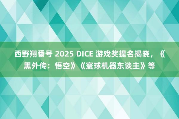 西野翔番号 2025 DICE 游戏奖提名揭晓，《黑外传：悟空》《寰球机器东谈主》等